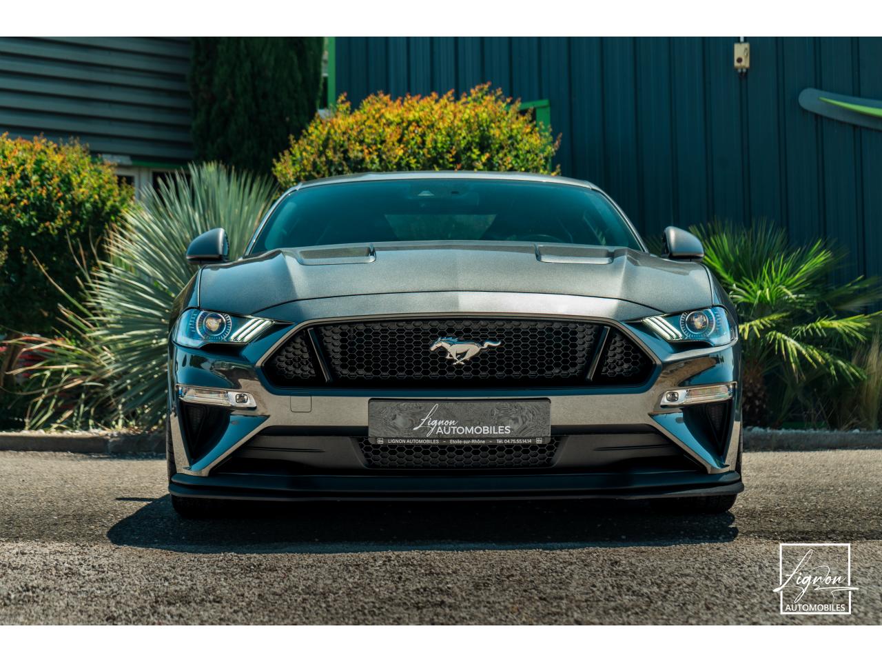 Photo FORD MUSTANG Fastback 5.0 V8 - BVM6 - 450  -  RECARO - 1er Main - à partir de 724 euros