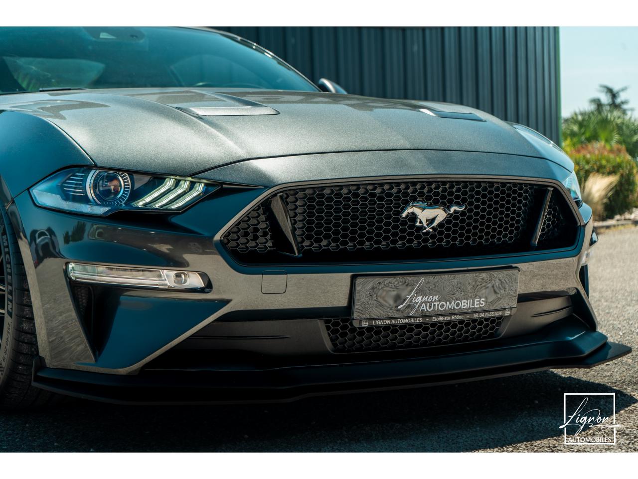 Photo FORD MUSTANG Fastback 5.0 V8 - BVM6 - 450  -  RECARO - 1er Main - à partir de 724 euros