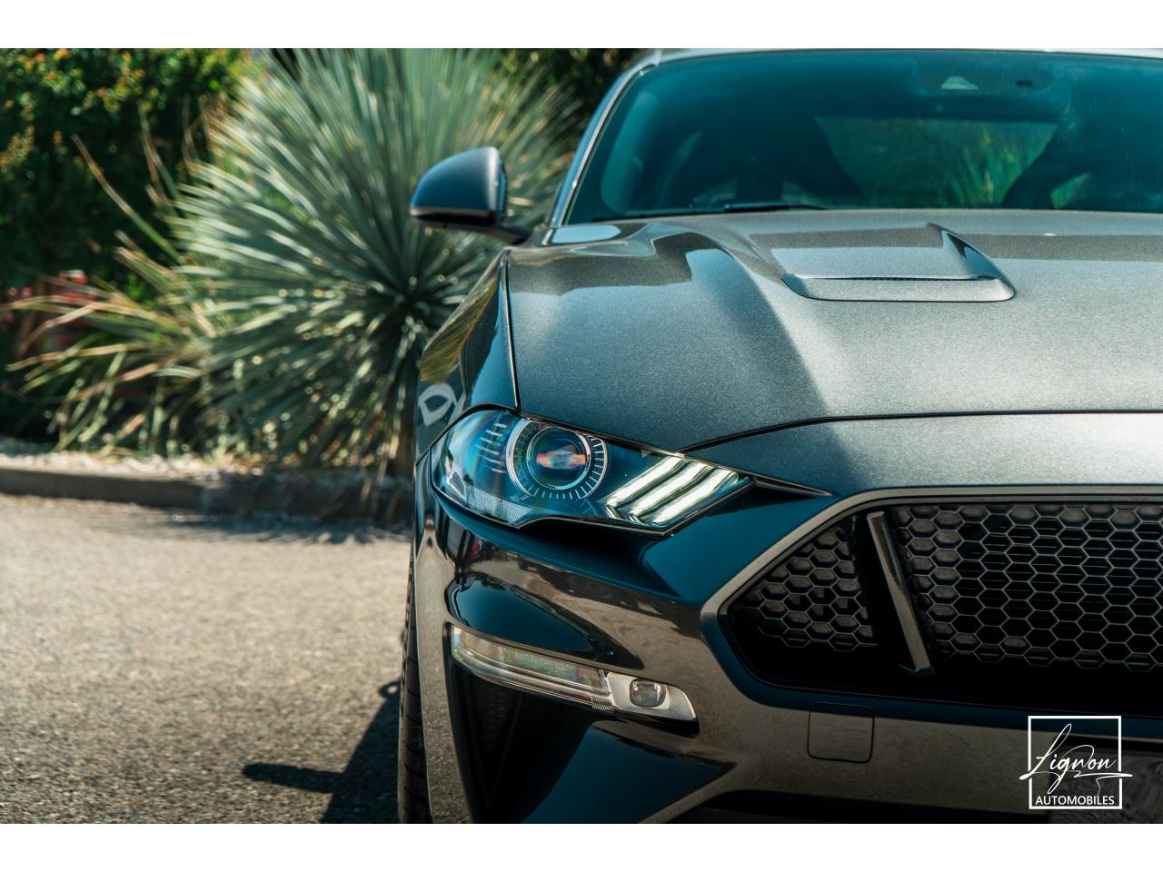 Photo FORD MUSTANG Fastback 5.0 V8 - BVM6 - 450  -  RECARO - 1er Main - à partir de 724 euros
