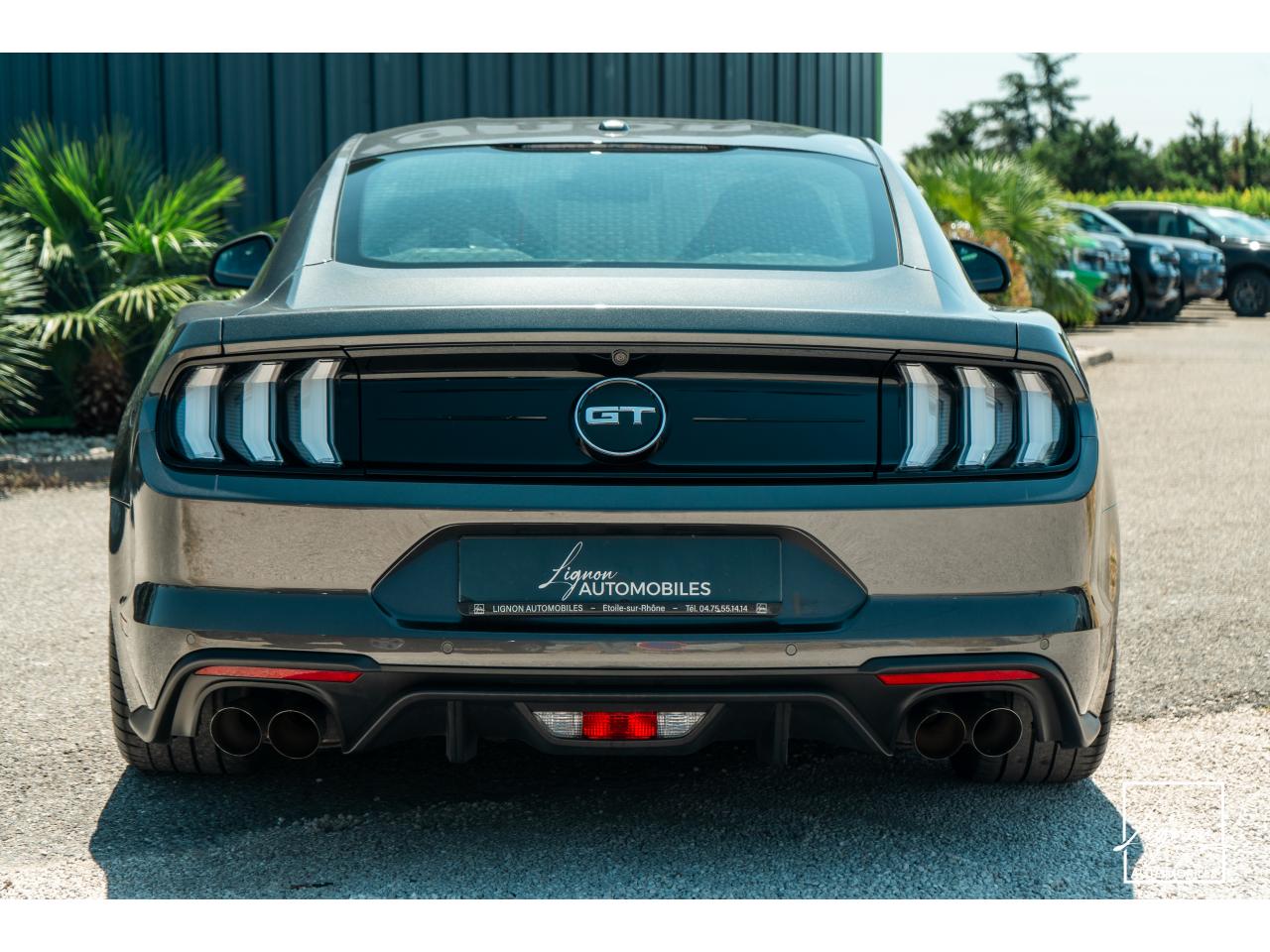 Photo FORD MUSTANG Fastback 5.0 V8 - BVM6 - 450  -  RECARO - 1er Main - à partir de 724 euros