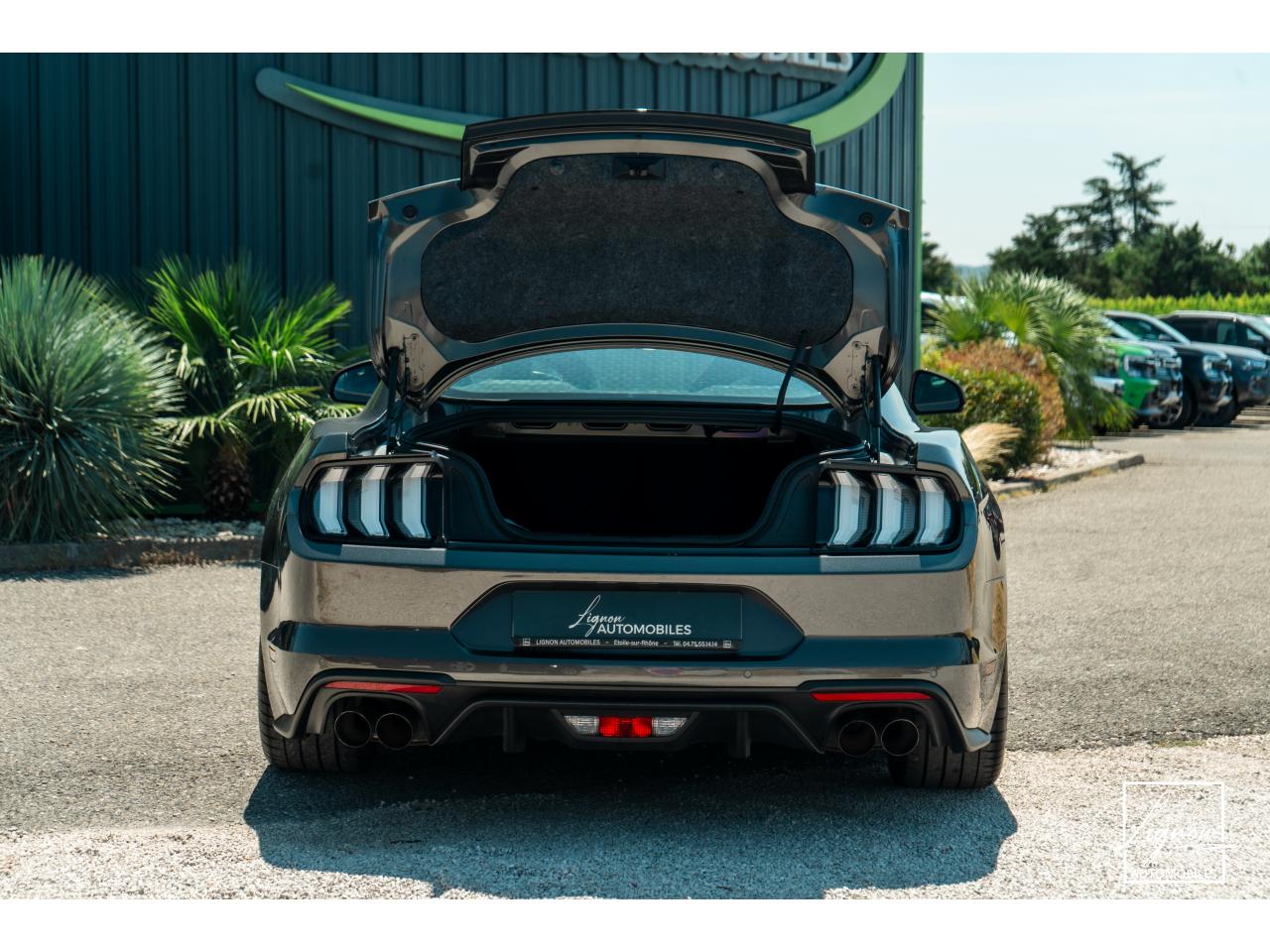 Photo FORD MUSTANG Fastback 5.0 V8 - BVM6 - 450  -  RECARO - 1er Main - à partir de 724 euros
