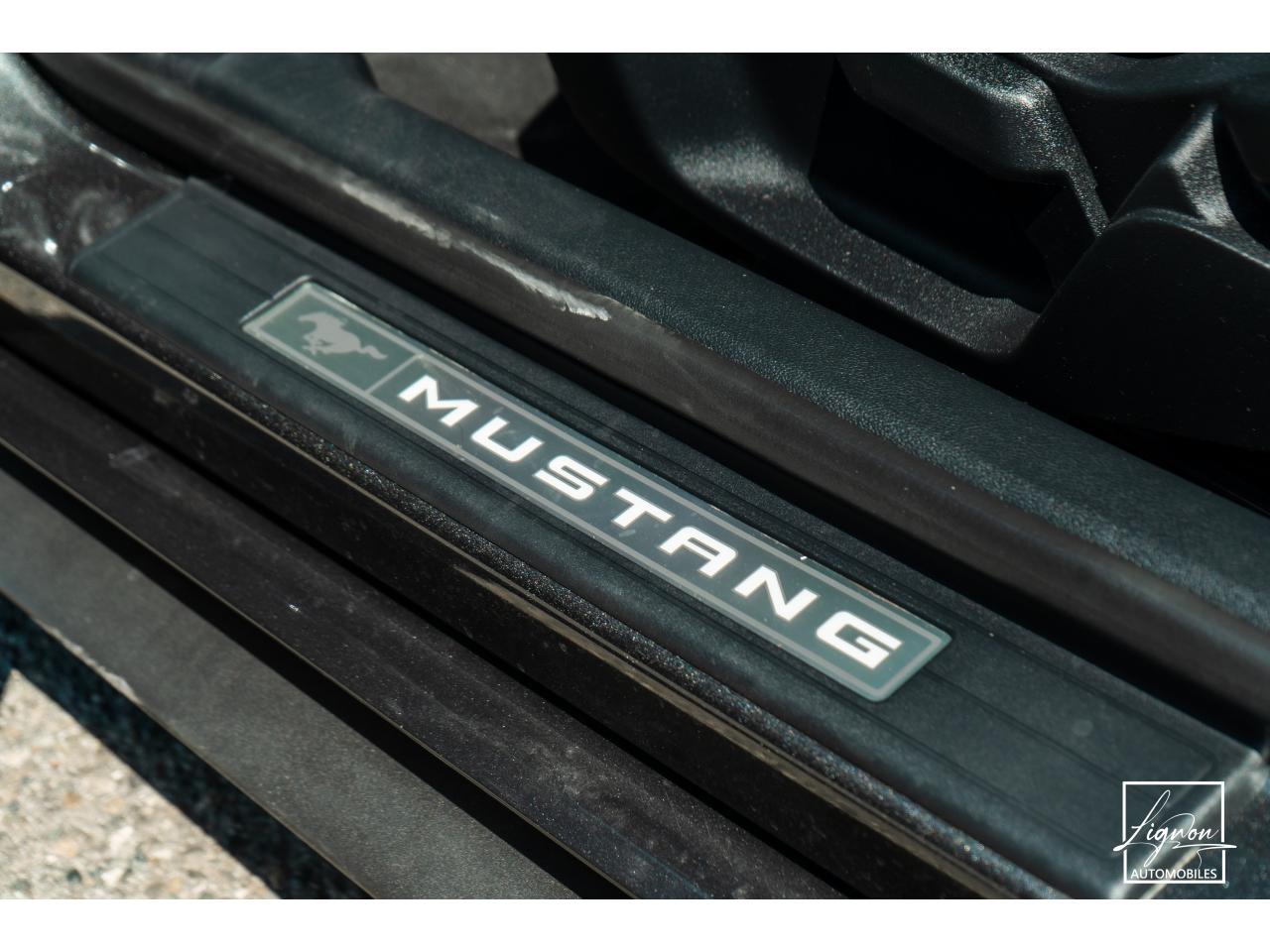 Photo FORD MUSTANG Fastback 5.0 V8 - BVM6 - 450  -  RECARO - 1er Main - à partir de 724 euros