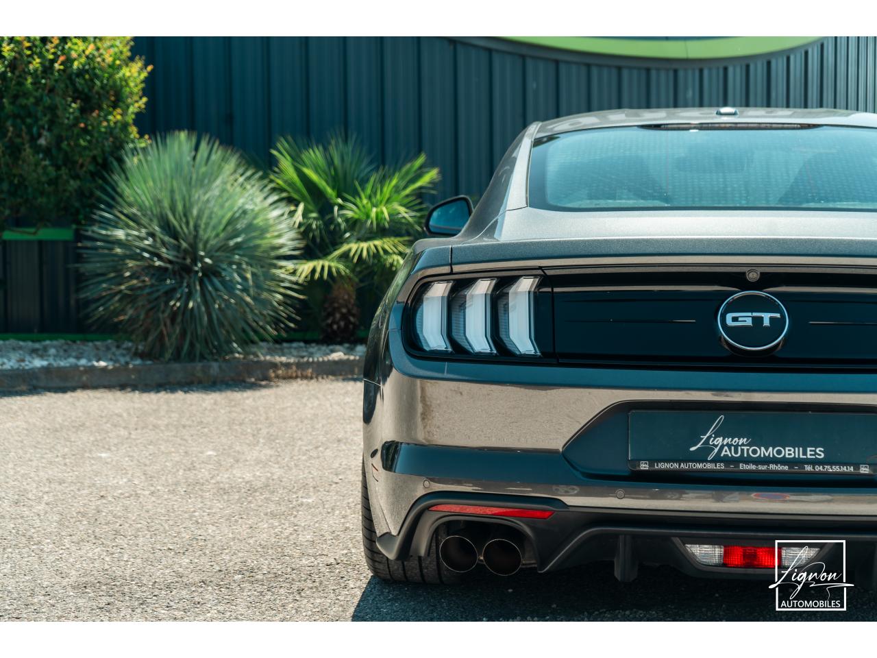 Photo FORD MUSTANG Fastback 5.0 V8 - BVM6 - 450  -  RECARO - 1er Main - à partir de 724 euros