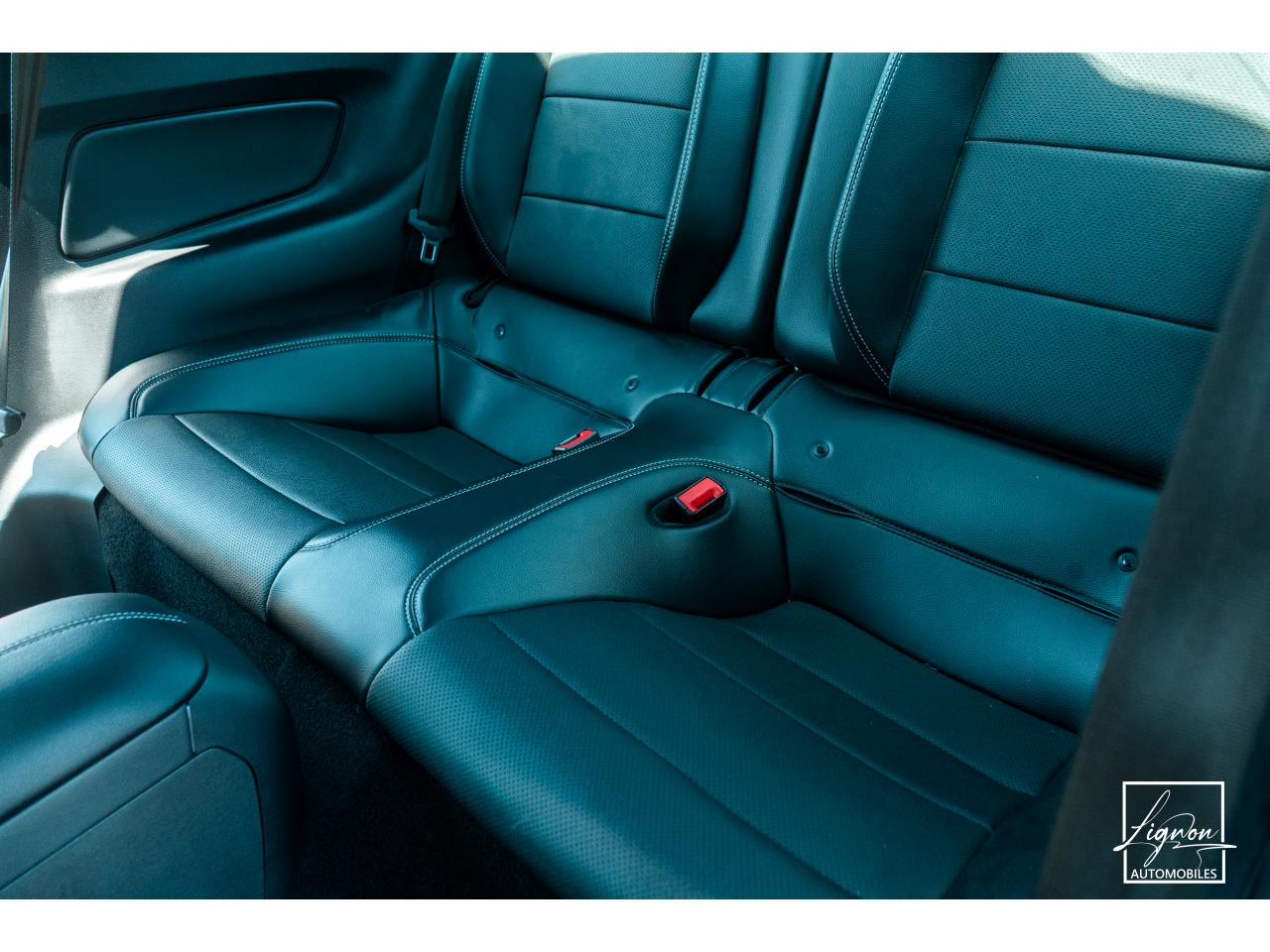 Photo FORD MUSTANG Fastback 5.0 V8 - BVM6 - 450  -  RECARO - 1er Main - à partir de 724 euros