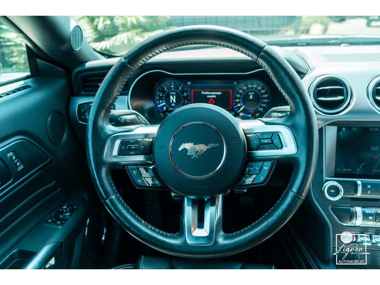 Photo FORD MUSTANG Fastback 5.0 V8 - BVM6 - 450  -  RECARO - 1er Main - à partir de 724 euros