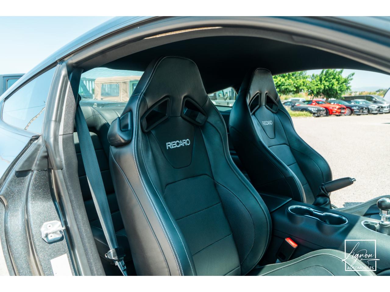 Photo FORD MUSTANG Fastback 5.0 V8 - BVM6 - 450  -  RECARO - 1er Main - à partir de 724 euros