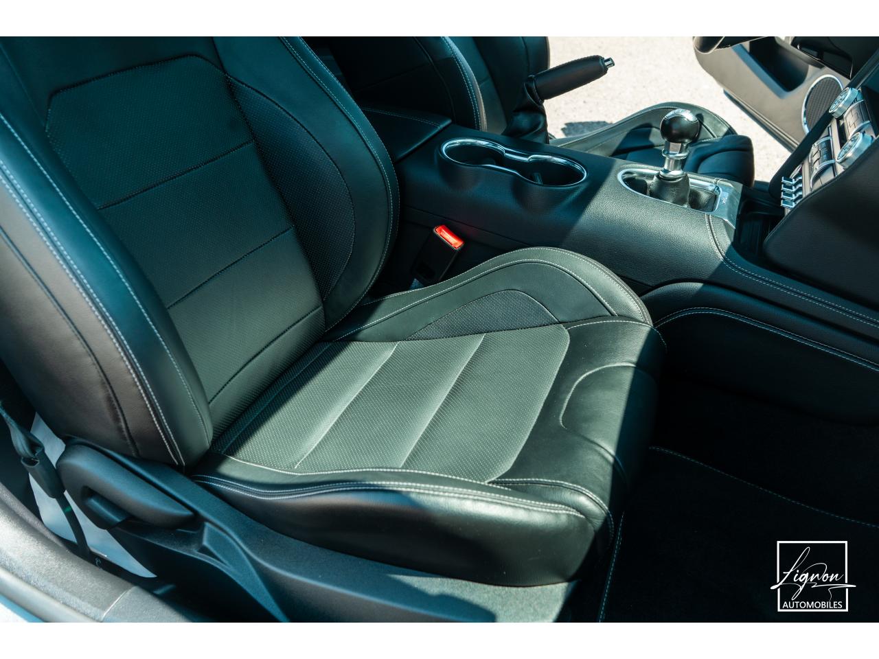 Photo FORD MUSTANG Fastback 5.0 V8 - BVM6 - 450  -  RECARO - 1er Main - à partir de 724 euros