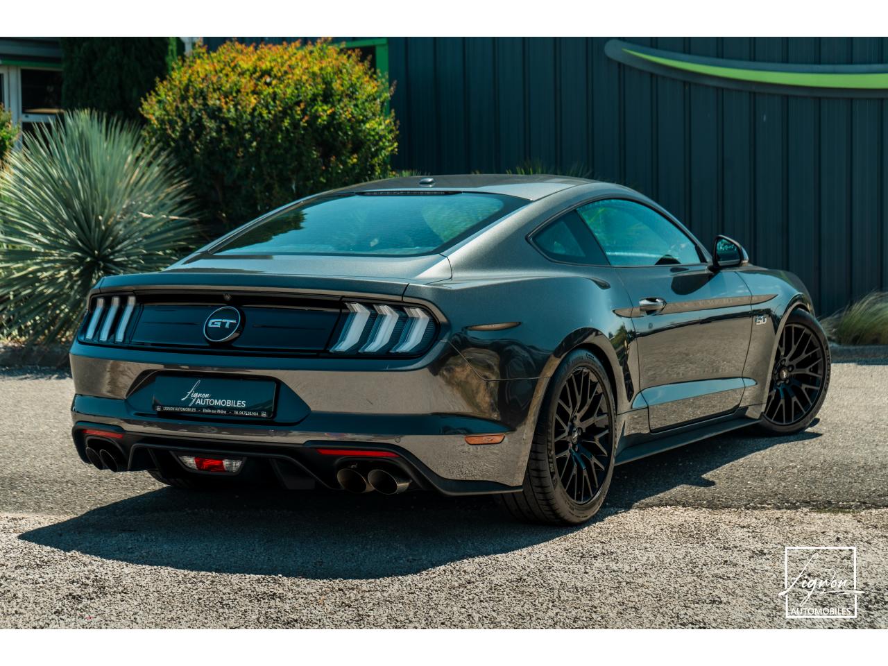 Photo FORD MUSTANG Fastback 5.0 V8 - BVM6 - 450  -  RECARO - 1er Main - à partir de 724 euros