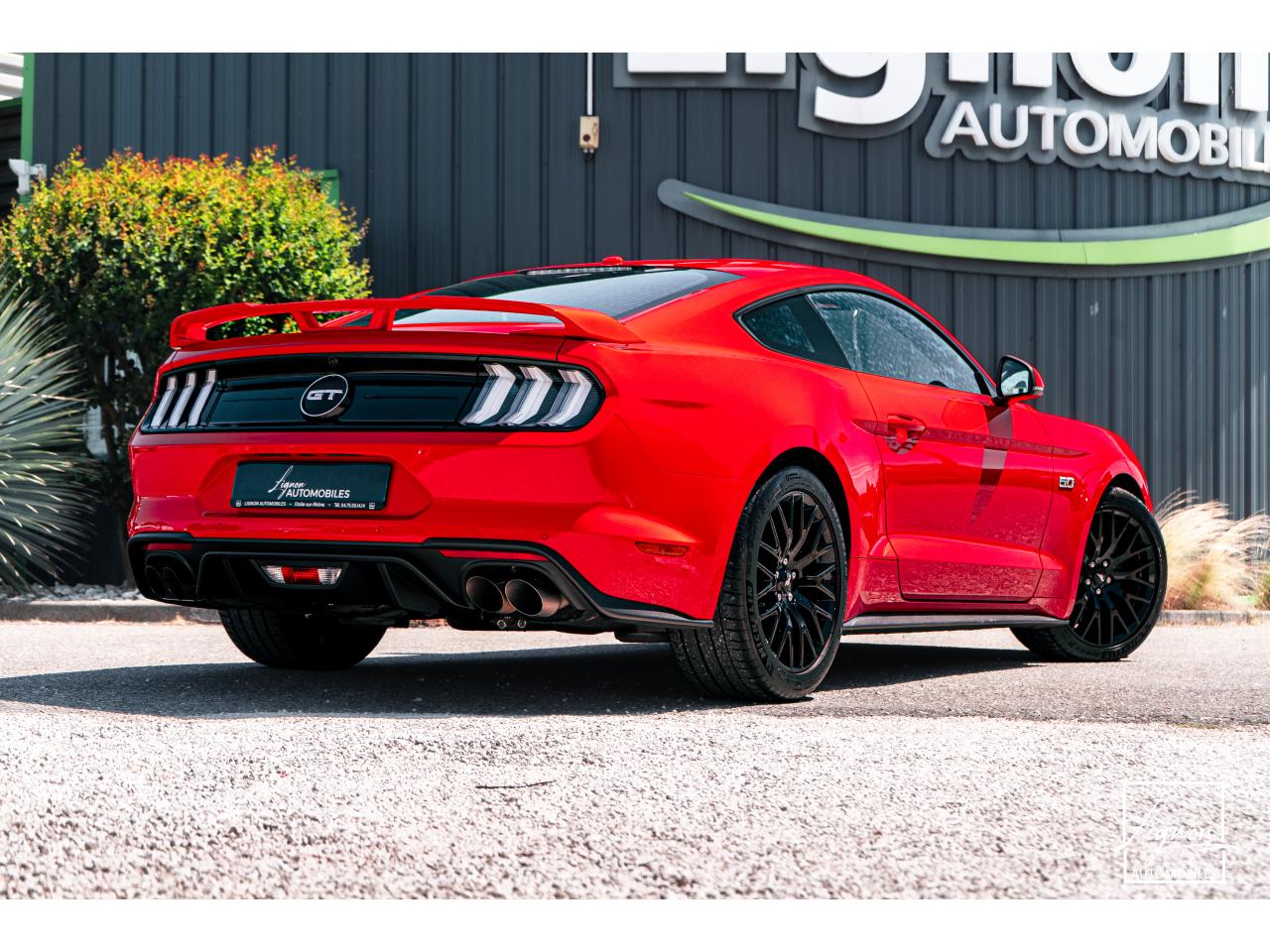 Photo FORD MUSTANG Fastback 5.0 V8 - 450 - COUPE GT PHASE 2 - à partir de 785 euros