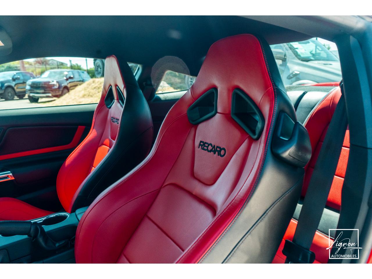 Photo FORD MUSTANG Fastback 5.0 V8 - 450 - COUPE GT PHASE 2 - à partir de 785 euros