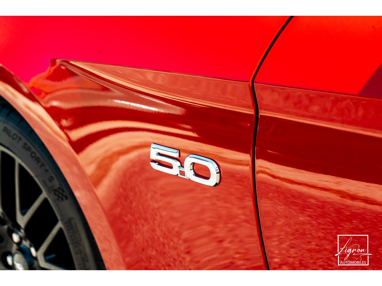 Photo FORD MUSTANG Fastback 5.0 V8 - 450 - COUPE GT PHASE 2 - à partir de 785 euros
