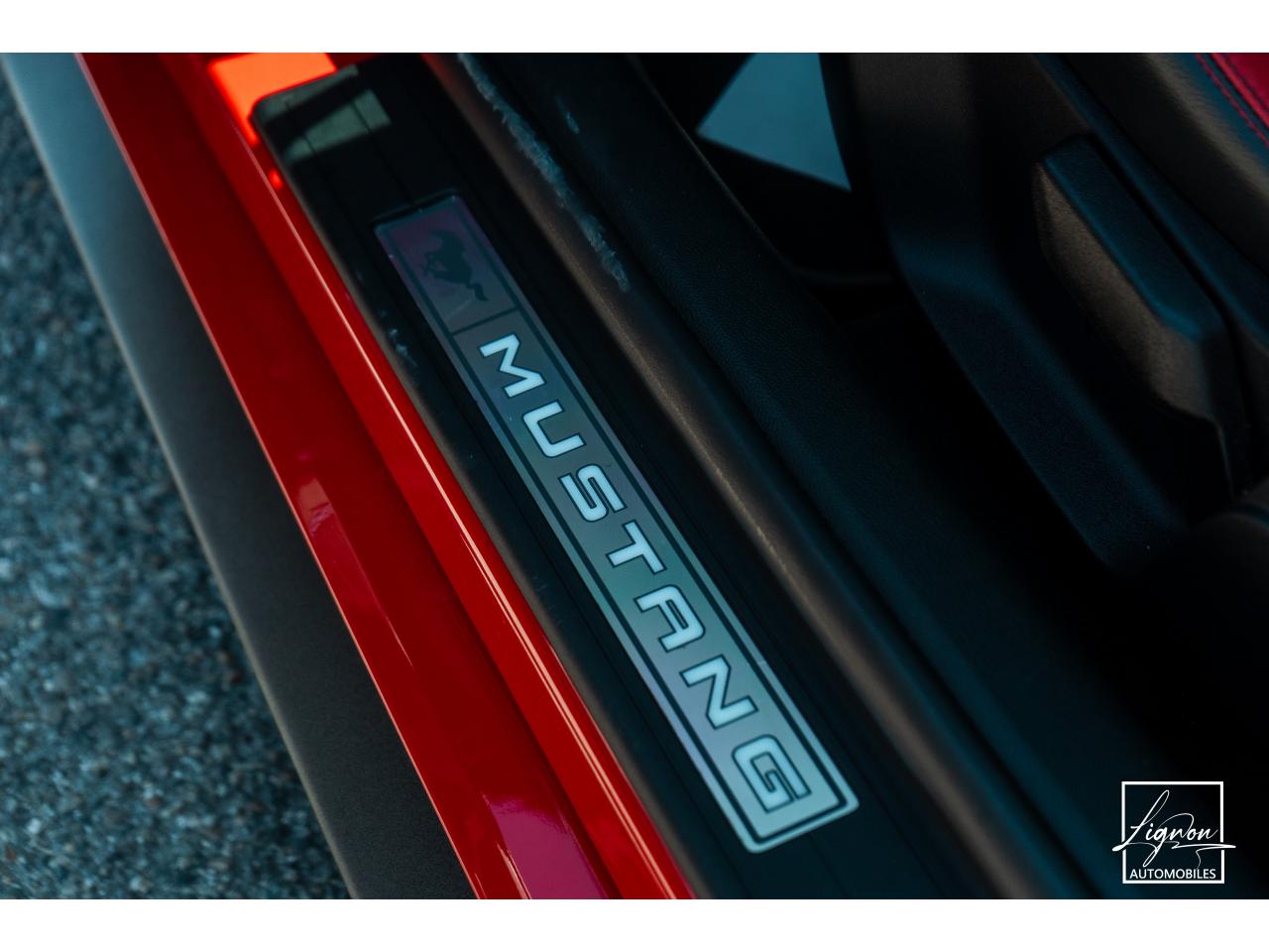 Photo FORD MUSTANG Fastback 5.0 V8 - 450 - COUPE GT PHASE 2 - à partir de 785 euros