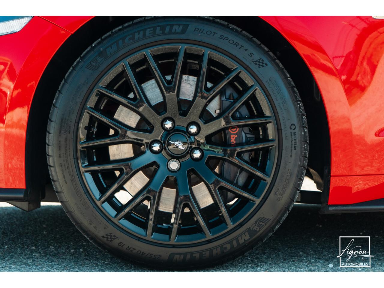 Photo FORD MUSTANG Fastback 5.0 V8 - 450 - COUPE GT PHASE 2 - à partir de 785 euros