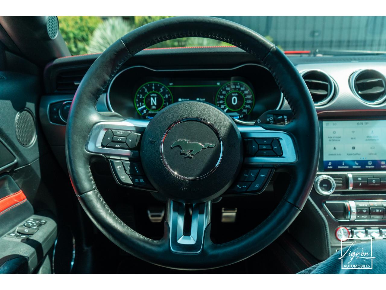Photo FORD MUSTANG Fastback 5.0 V8 - 450 - COUPE GT PHASE 2 - à partir de 785 euros