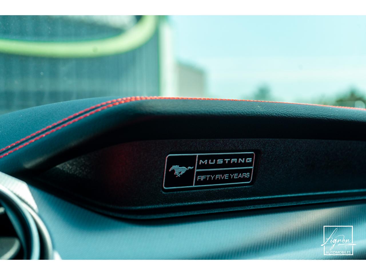 Photo FORD MUSTANG Fastback 5.0 V8 - 450 - COUPE GT PHASE 2 - à partir de 785 euros