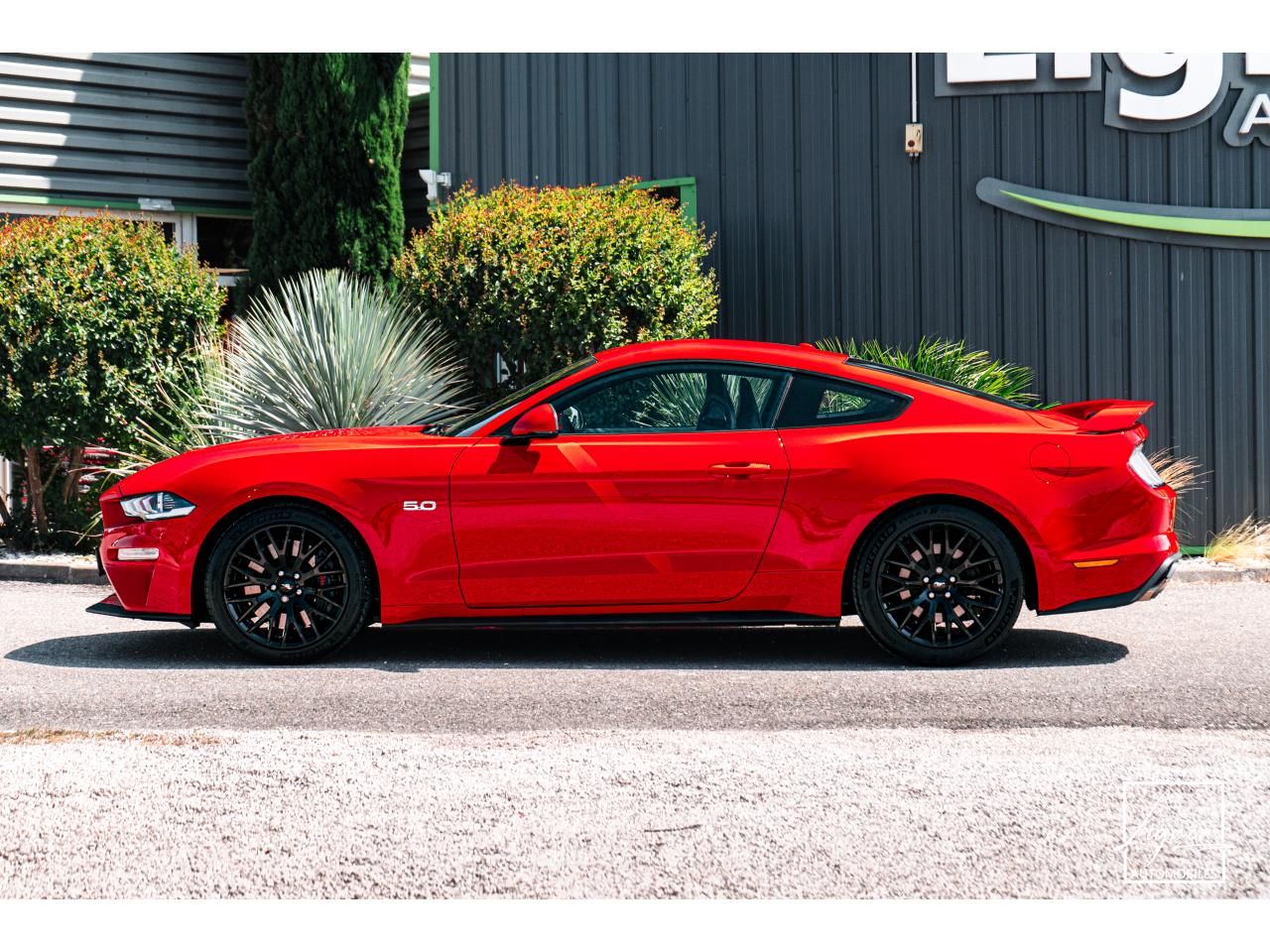 Photo FORD MUSTANG Fastback 5.0 V8 - 450 - COUPE GT PHASE 2 - à partir de 785 euros
