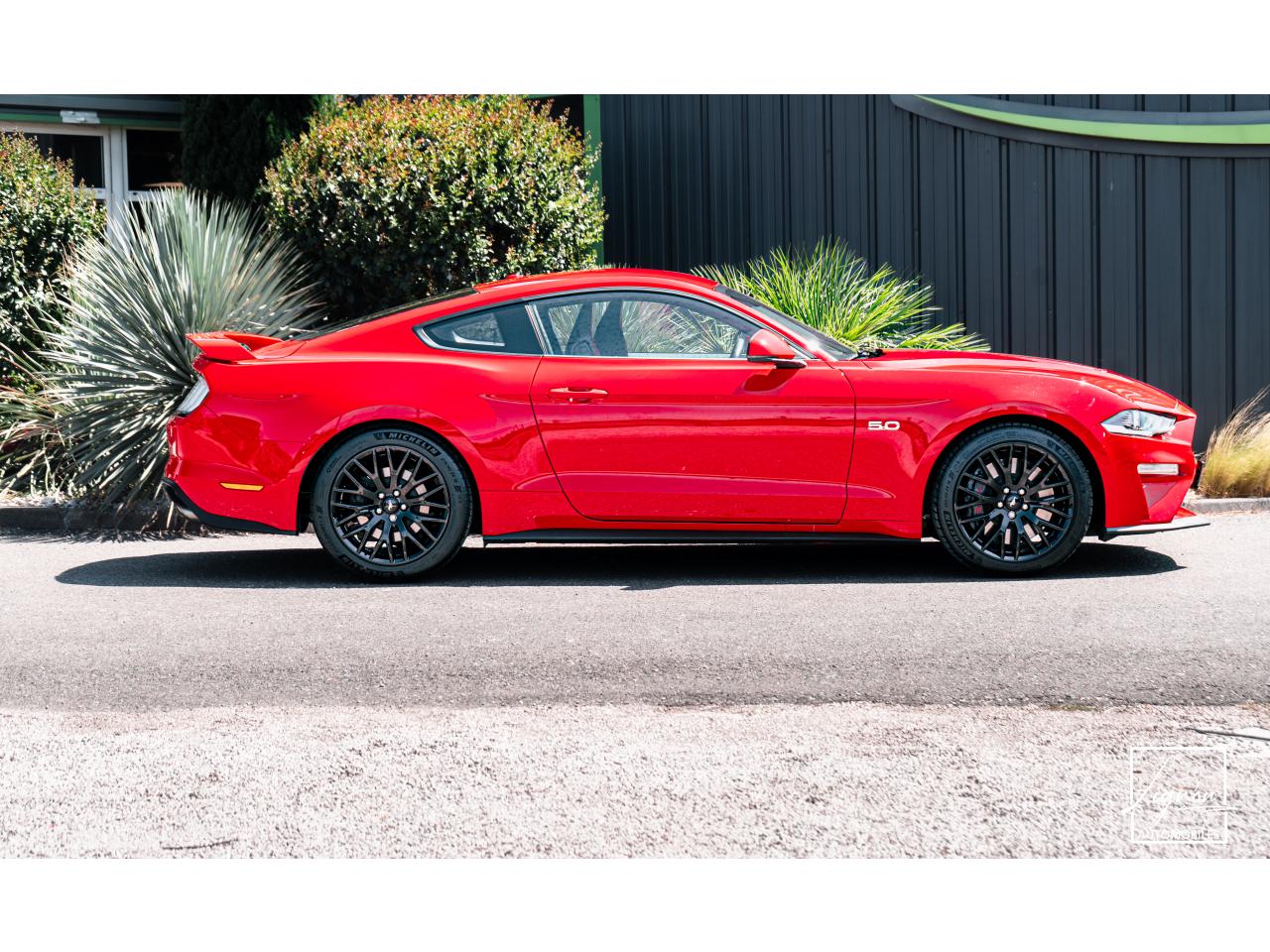 Photo FORD MUSTANG Fastback 5.0 V8 - 450 - COUPE GT PHASE 2 - à partir de 785 euros