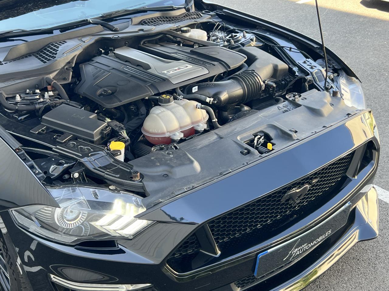Photo FORD MUSTANG Fastback 5.0 V8 - 450 - BVA10 - PAS DE MALUS IMMAT FR - à partir de 775 euros