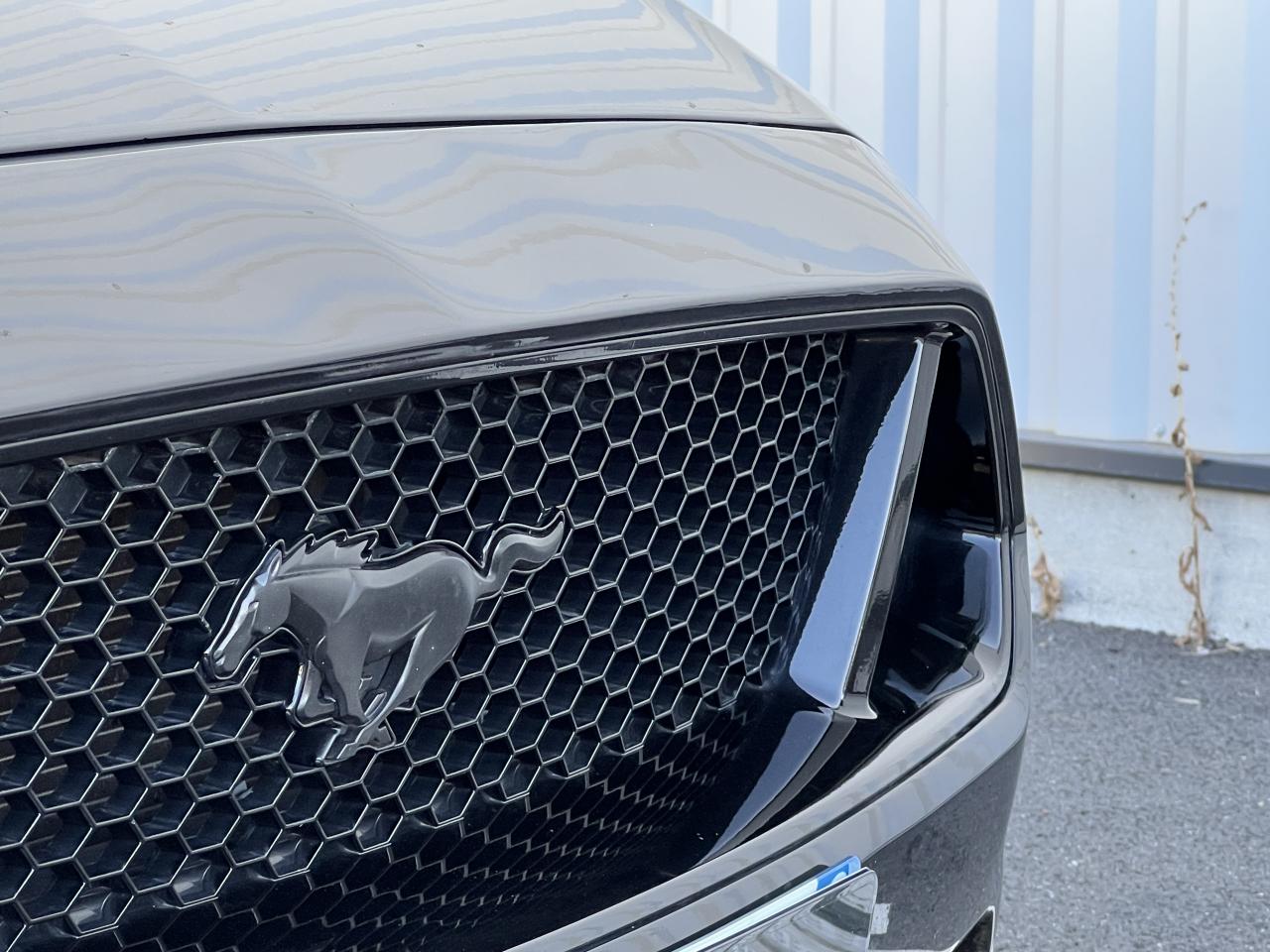 Photo FORD MUSTANG Fastback 5.0 V8 - 450 - BVA10 - PAS DE MALUS IMMAT FR - à partir de 775 euros