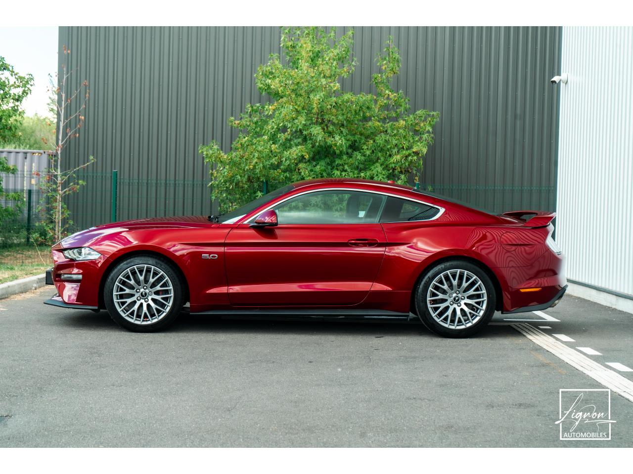 Photo FORD MUSTANG Fastback 5.0 V8 - 450 - BVA10  COUPE GT - 1ER MAIN - à partir de 670 euros