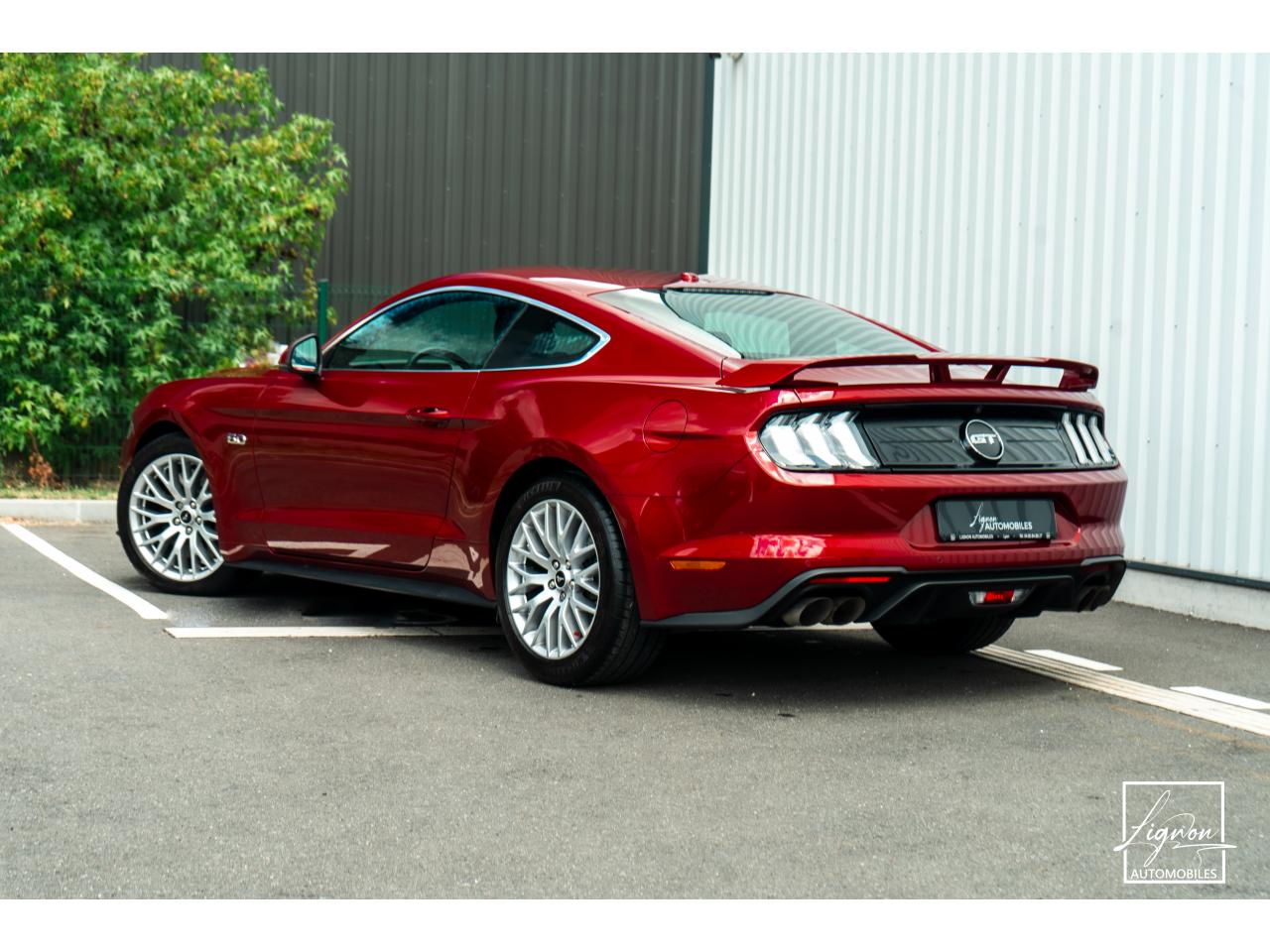 Photo FORD MUSTANG Fastback 5.0 V8 - 450 - BVA10  COUPE GT - 1ER MAIN - à partir de 670 euros