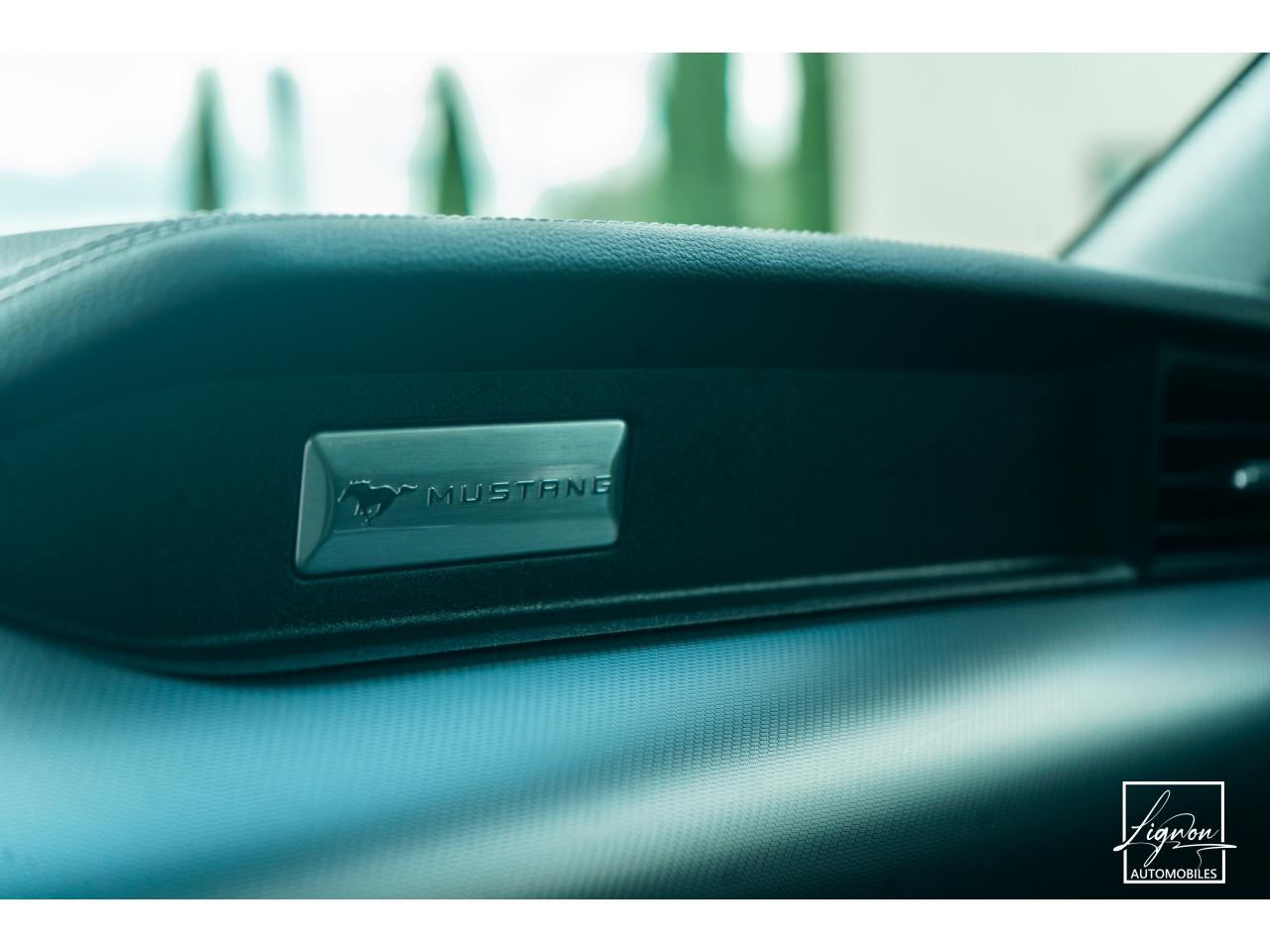 Photo FORD MUSTANG Fastback 5.0 V8 - 450 - BVA10  COUPE GT - 1ER MAIN - à partir de 670 euros