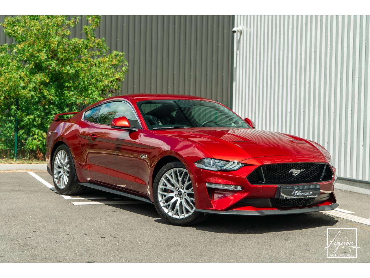 FORD MUSTANG Fastback 5.0 V8 - 450 - BVA10  COUPE GT - 1ER MAIN - à partir de 670 euros