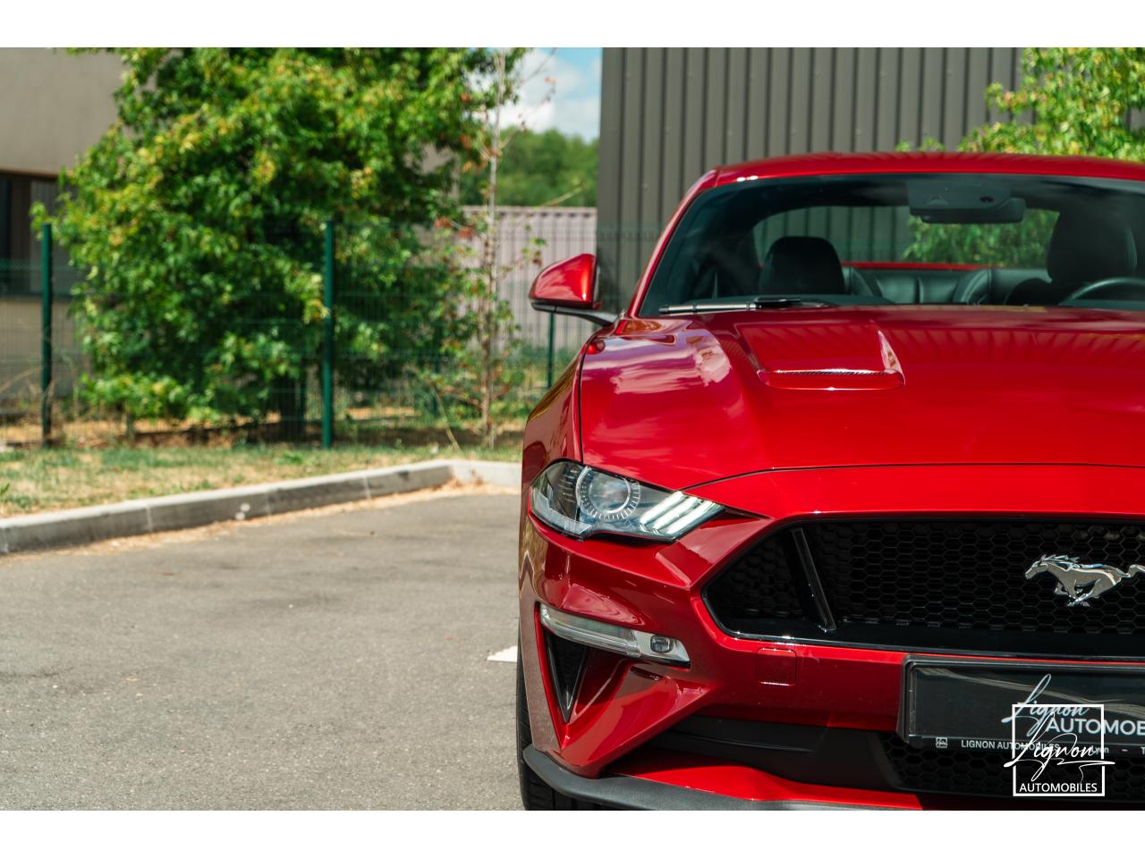 Photo FORD MUSTANG Fastback 5.0 V8 - 450 - BVA10  COUPE GT - 1ER MAIN - à partir de 670 euros