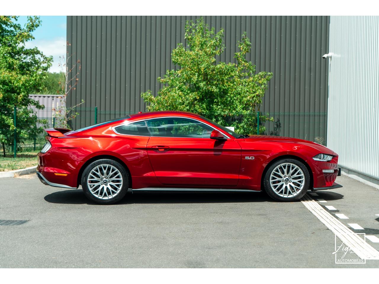 Photo FORD MUSTANG Fastback 5.0 V8 - 450 - BVA10  COUPE GT - 1ER MAIN - à partir de 670 euros