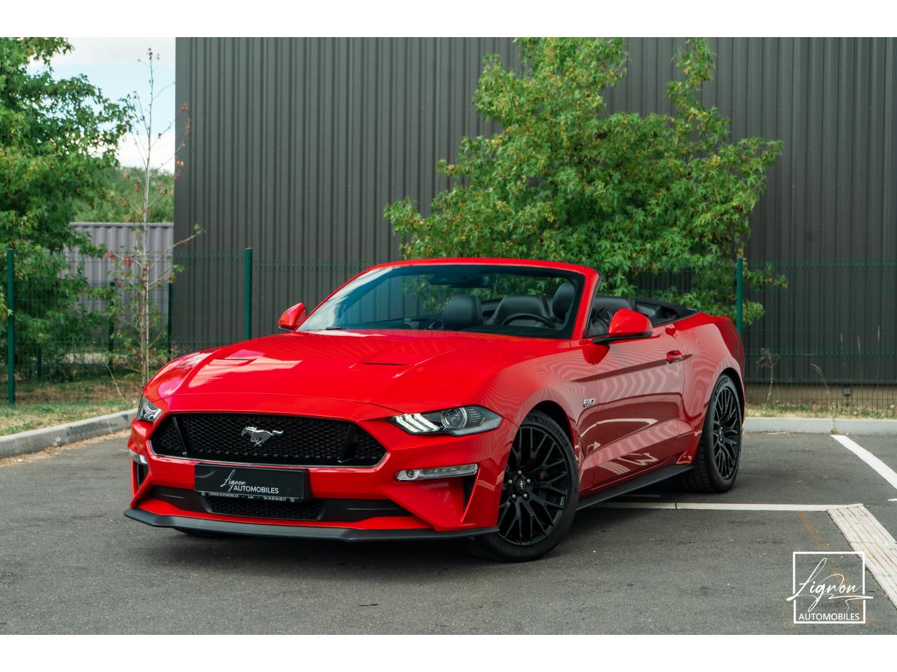 FORD MUSTANG Cabriolet GT 5.0 V8 - 450 - BVA10 Suspension Magneride - à partir de 688 euros