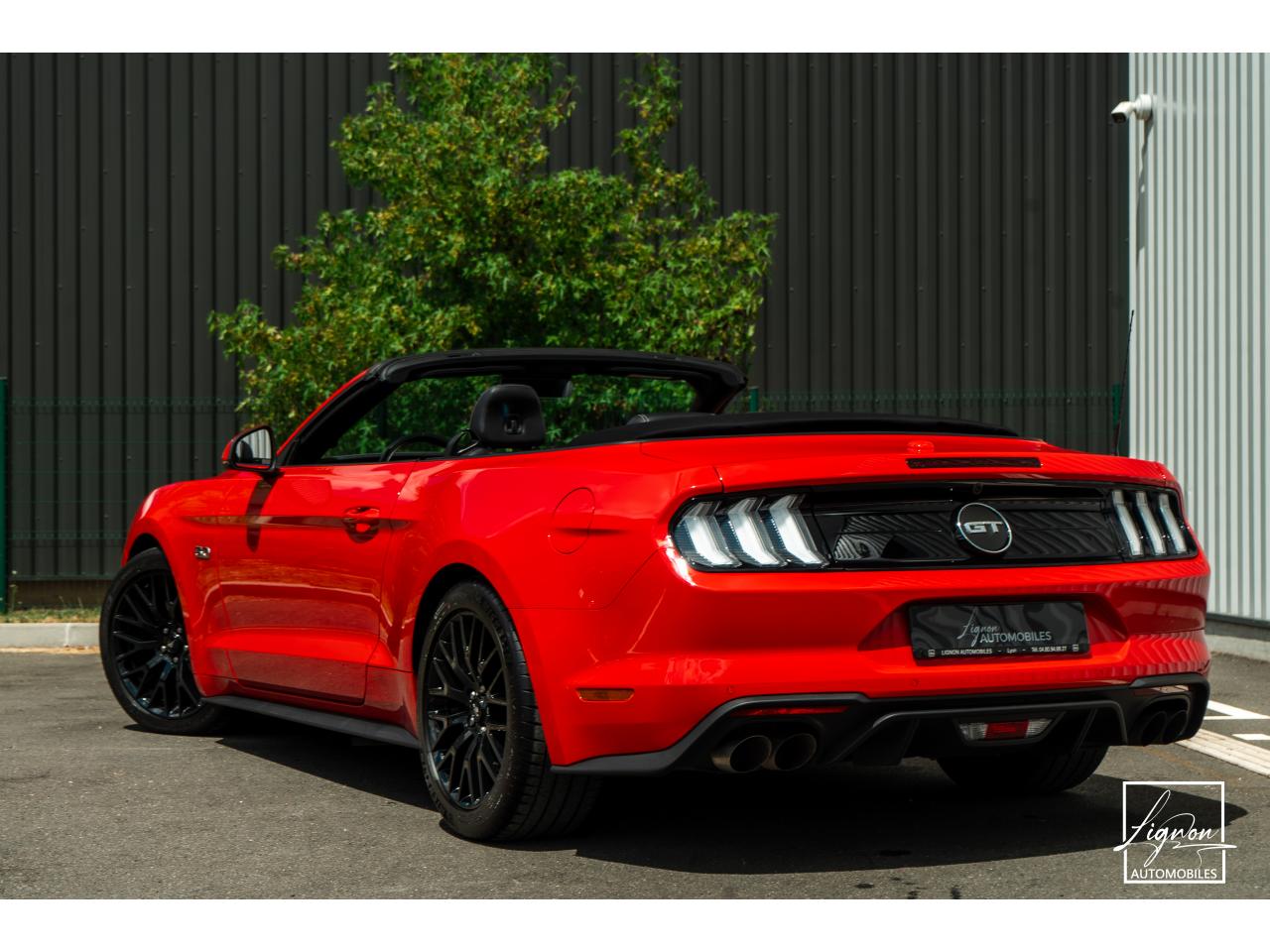 Photo FORD MUSTANG Cabriolet GT 5.0 V8 - 450 - BVA10 Suspension Magneride - à partir de 688 euros