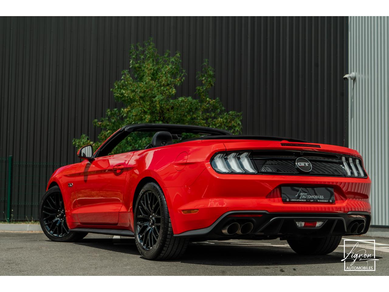 Photo FORD MUSTANG Cabriolet GT 5.0 V8 - 450 - BVA10 Suspension Magneride - à partir de 688 euros