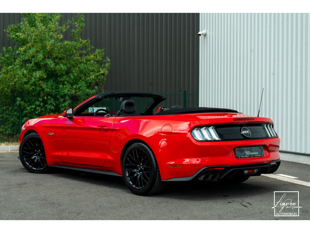 Photo FORD MUSTANG Cabriolet GT 5.0 V8 - 450 - BVA10 Suspension Magneride - à partir de 688 euros