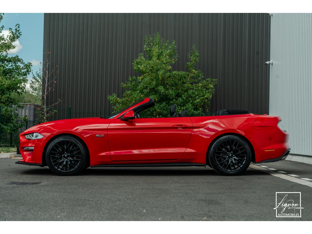 Photo FORD MUSTANG Cabriolet GT 5.0 V8 - 450 - BVA10 Suspension Magneride - à partir de 688 euros