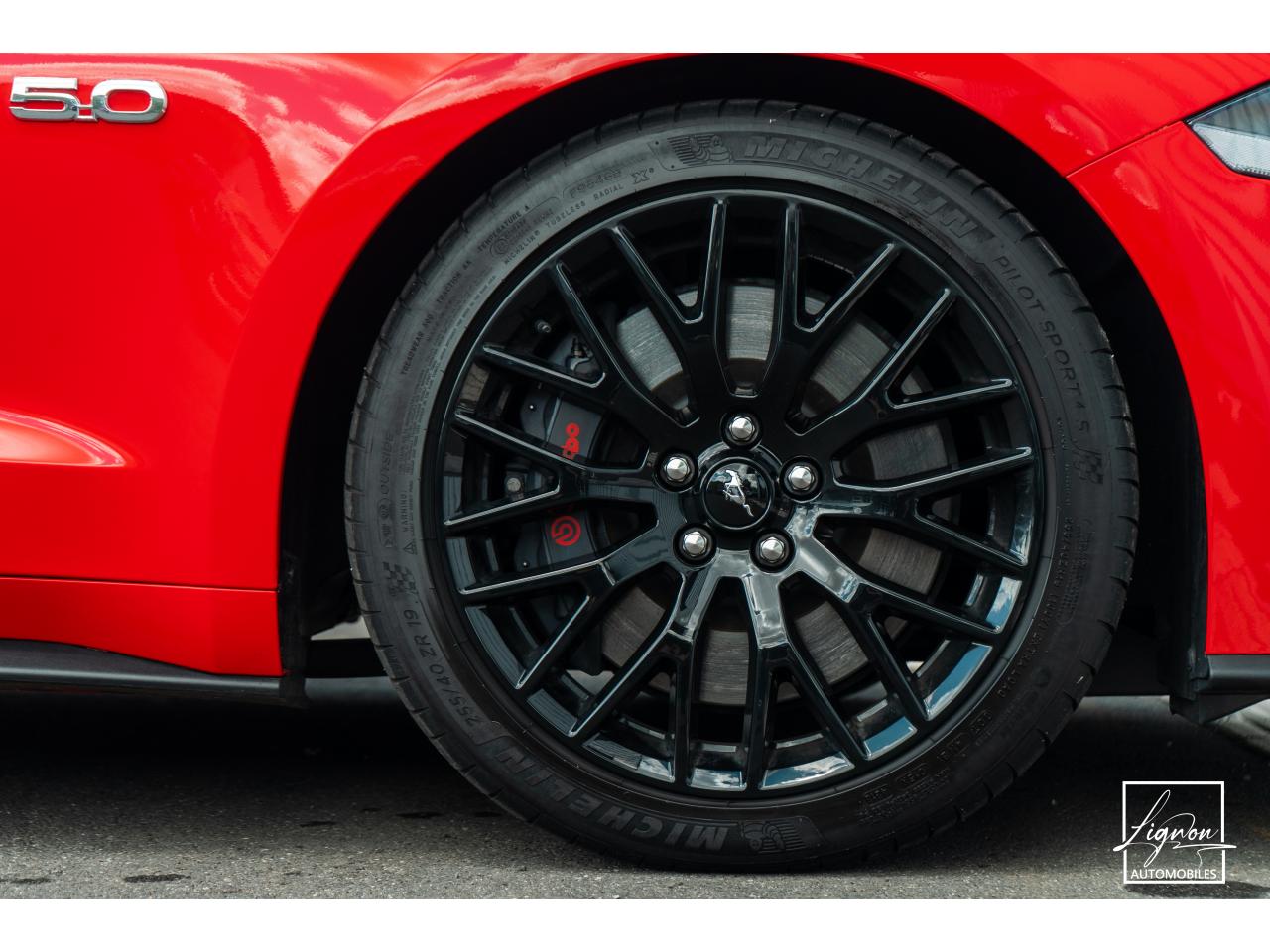Photo FORD MUSTANG Cabriolet GT 5.0 V8 - 450 - BVA10 Suspension Magneride - à partir de 688 euros