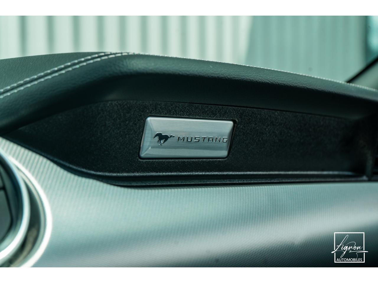 Photo FORD MUSTANG Cabriolet GT 5.0 V8 - 450 - BVA10 Suspension Magneride - à partir de 688 euros