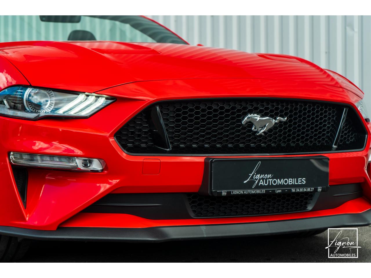 FORD MUSTANG Cabriolet GT 5.0 V8 - 450 - BVA10 Suspension Magneride - à partir de 688 euros