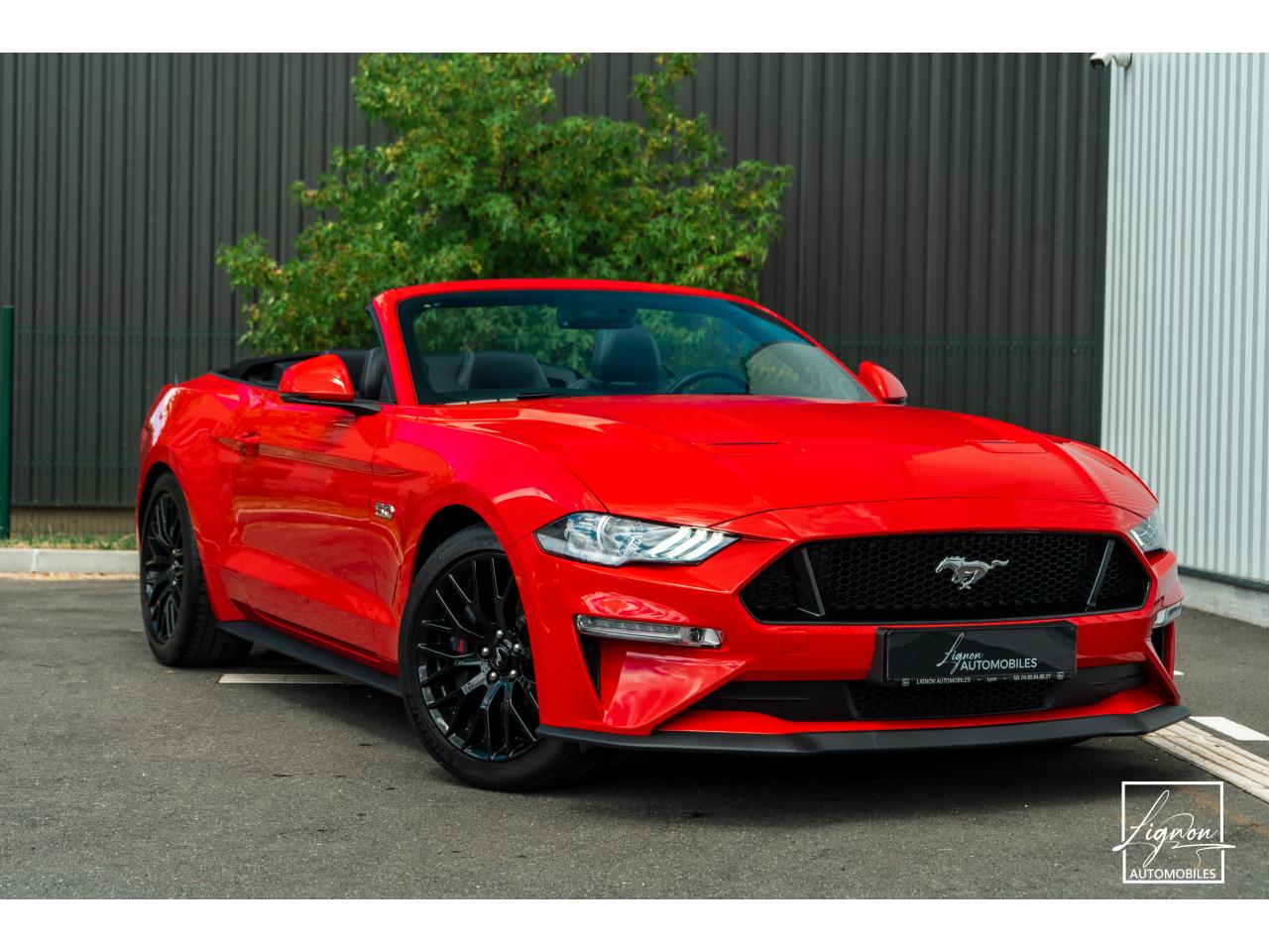 Photo FORD MUSTANG Cabriolet GT 5.0 V8 - 450 - BVA10 Suspension Magneride - à partir de 688 euros