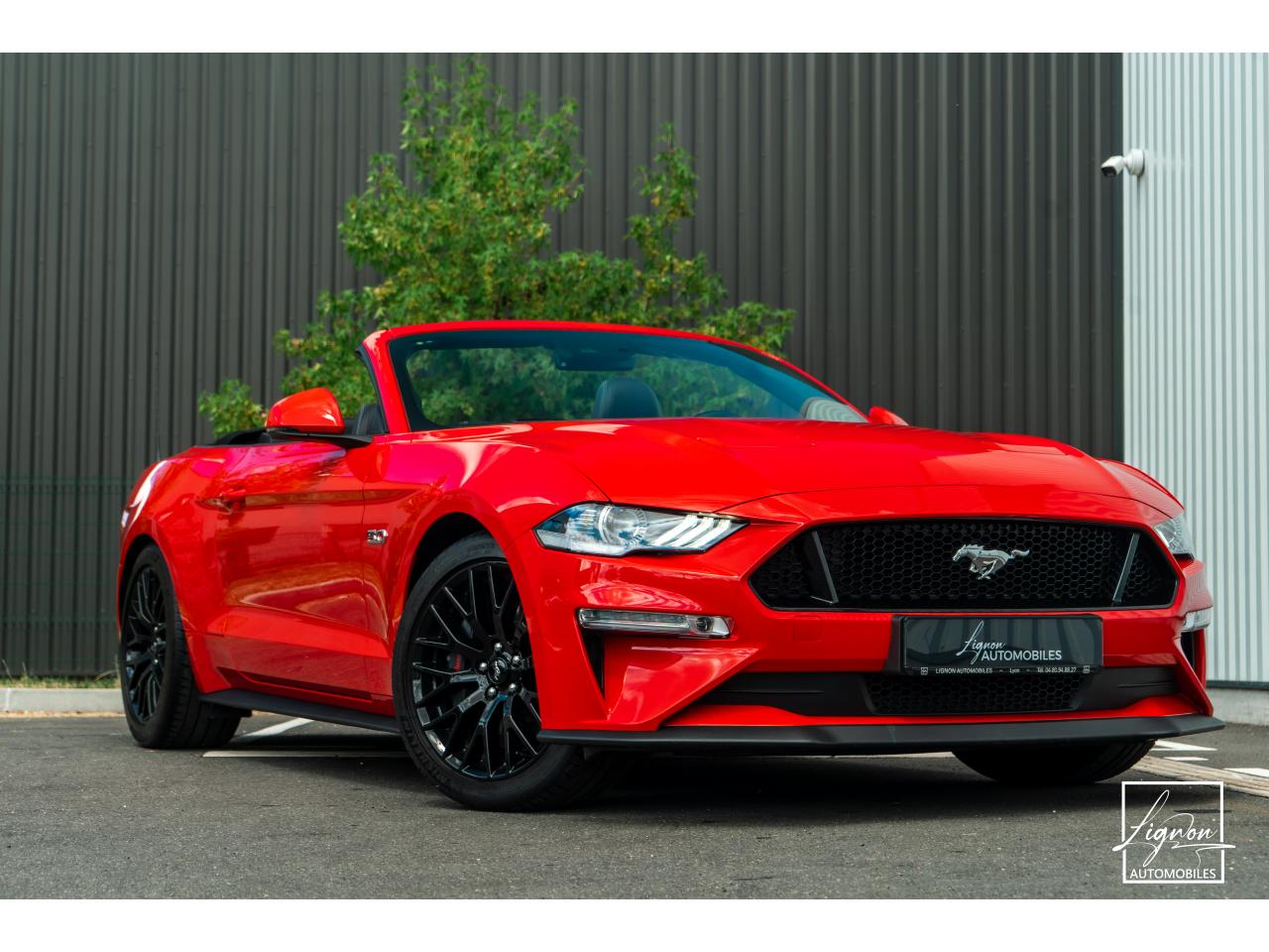 Photo FORD MUSTANG Cabriolet GT 5.0 V8 - 450 - BVA10 Suspension Magneride - à partir de 688 euros