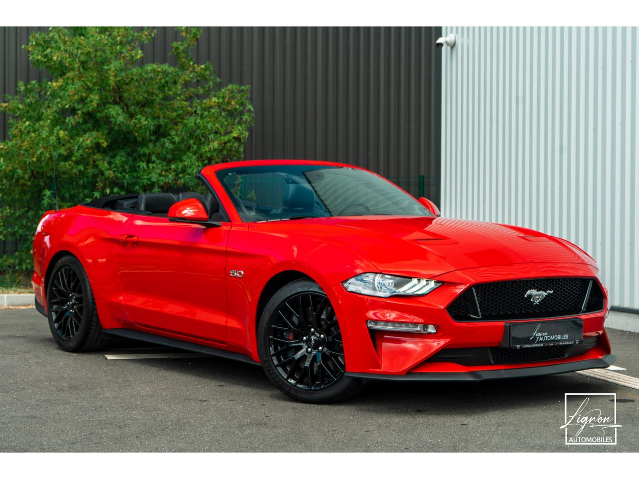 Photo FORD MUSTANG Cabriolet GT 5.0 V8 - 450 - BVA10 Suspension Magneride - à partir de 688 euros