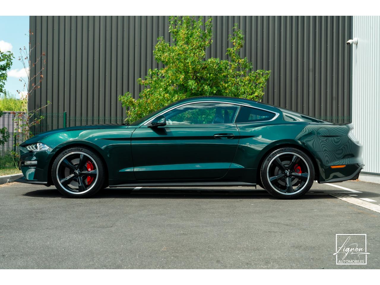 Photo FORD MUSTANG Bullitt 5.0 V8 - 460  FASTBACK Echapp BORLA - à partir de 737 euros