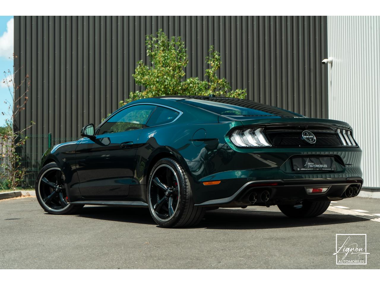 Photo FORD MUSTANG Bullitt 5.0 V8 - 460  FASTBACK Echapp BORLA - à partir de 737 euros