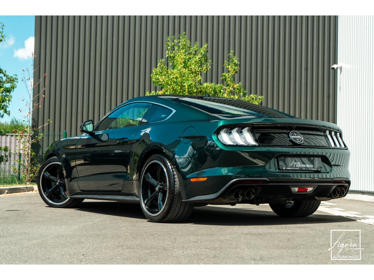 Photo FORD MUSTANG Bullitt 5.0 V8 - 460  FASTBACK Echapp BORLA - à partir de 737 euros