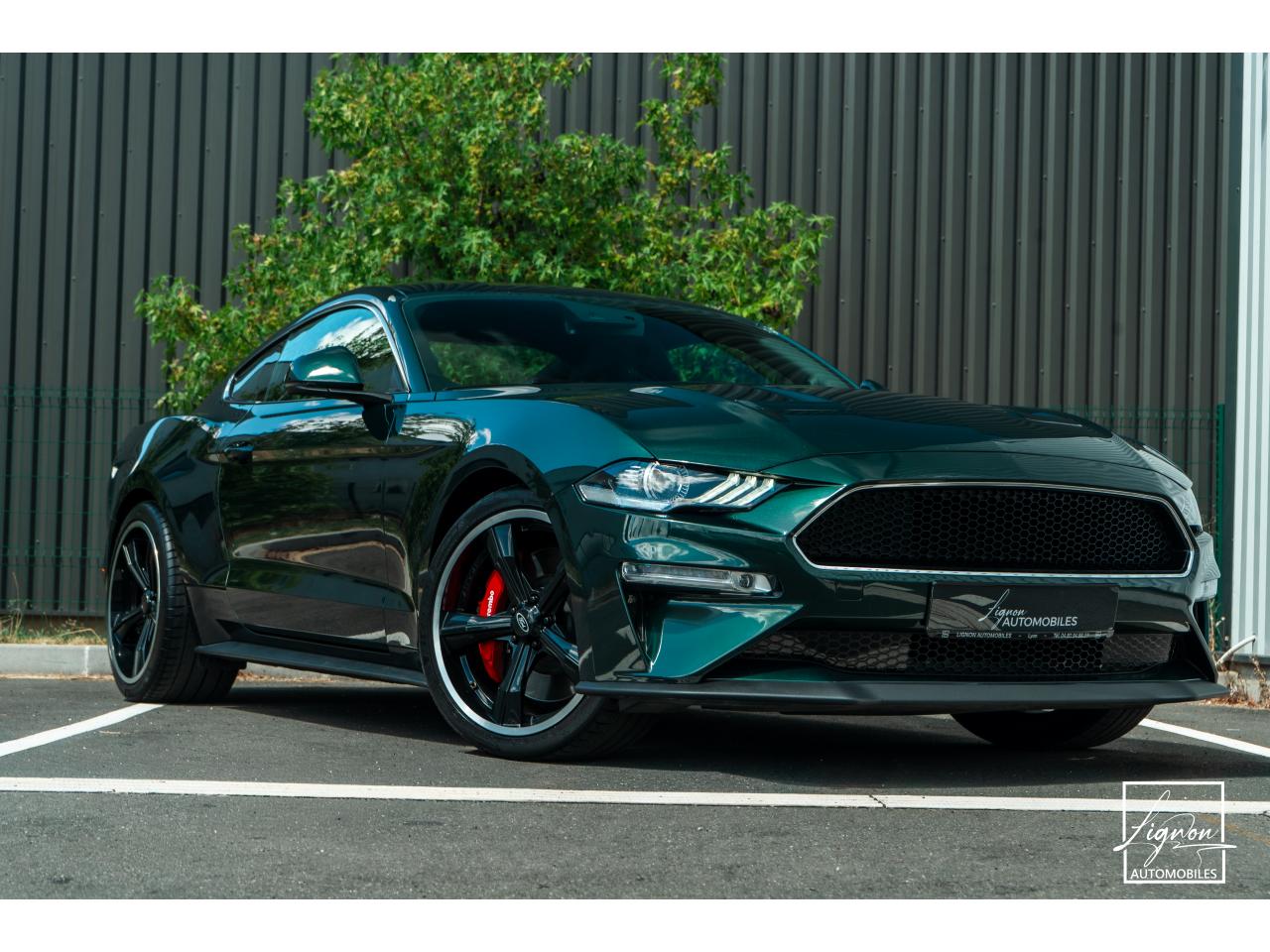 Photo FORD MUSTANG Bullitt 5.0 V8 - 460  FASTBACK Echapp BORLA - à partir de 737 euros