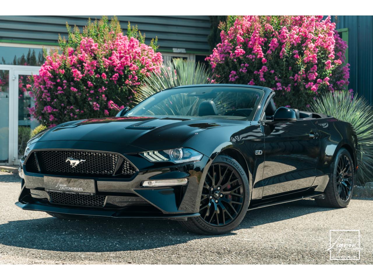 FORD MUSTANG Cabriolet 5.0 V8 - 450 - BVA10  GT - 1er Main Origine France - Malus Payé - 3 000 km !!