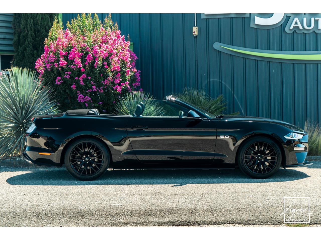 Photo FORD MUSTANG Cabriolet 5.0 V8 - 450 - BVA10  GT - 1er Main Origine France - Malus Payé - 3 000 km !!