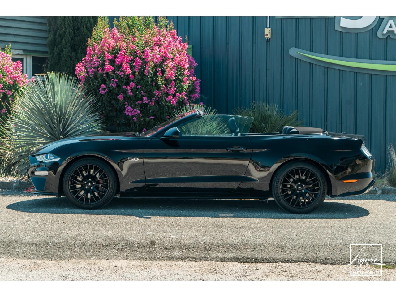 Photo FORD MUSTANG Cabriolet 5.0 V8 - 450 - BVA10  GT - 1er Main Origine France - Malus Payé - 3 000 km !!