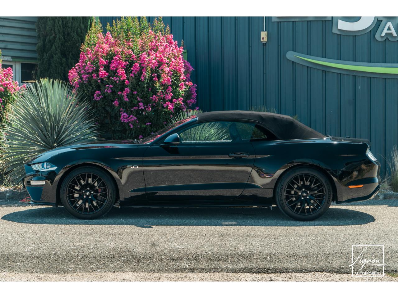 Photo FORD MUSTANG Cabriolet 5.0 V8 - 450 - BVA10  GT - 1er Main Origine France - Malus Payé - 3 000 km !!