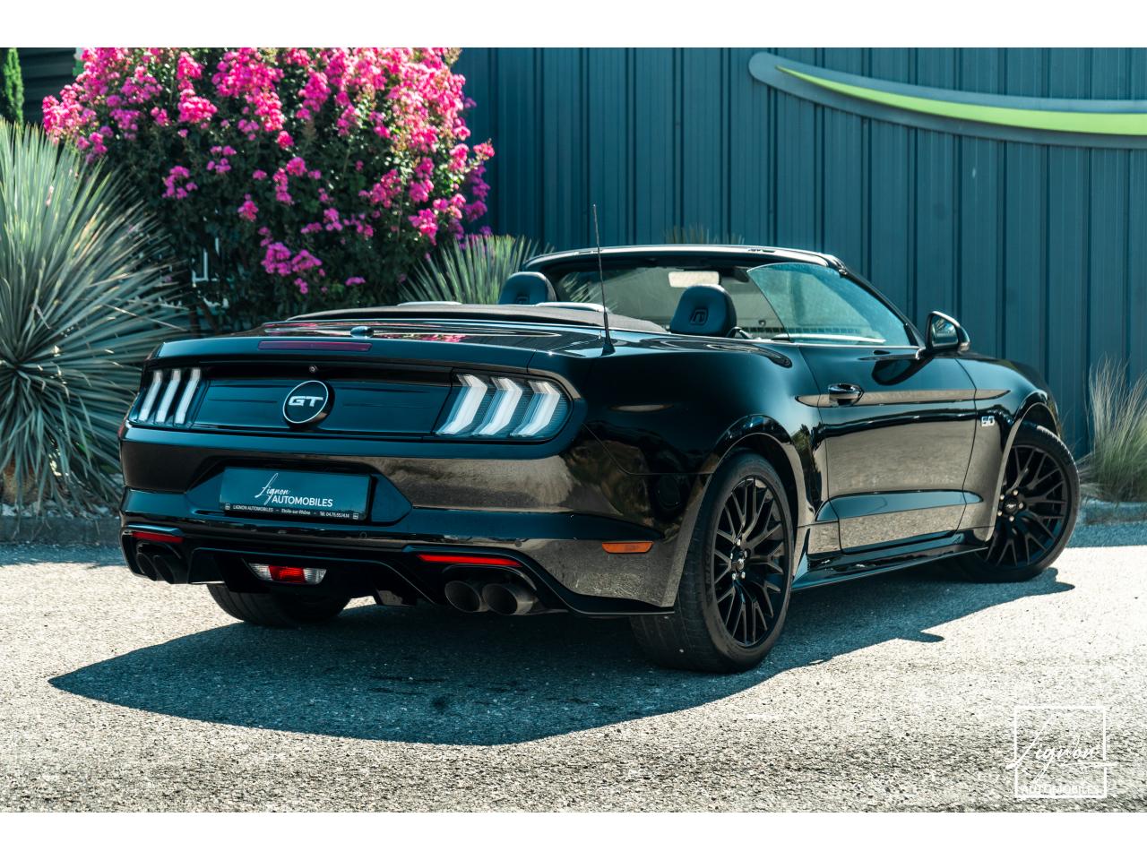 Photo FORD MUSTANG Cabriolet 5.0 V8 - 450 - BVA10  GT - 1er Main Origine France - Malus Payé - 3 000 km !!