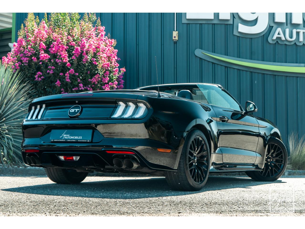 Photo FORD MUSTANG Cabriolet 5.0 V8 - 450 - BVA10  GT - 1er Main Origine France - Malus Payé - 3 000 km !!